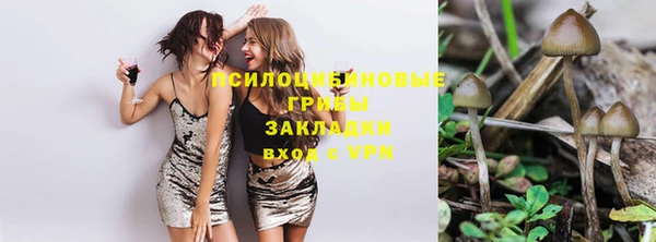 2c-b Нефтегорск