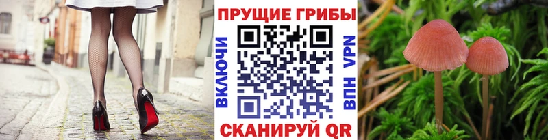 купить  сайты  Оленегорск  мориарти телеграм  Псилоцибиновые грибы мухоморы 